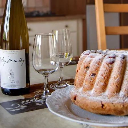 Appartement Haydi Mit Terrasse By Interhome